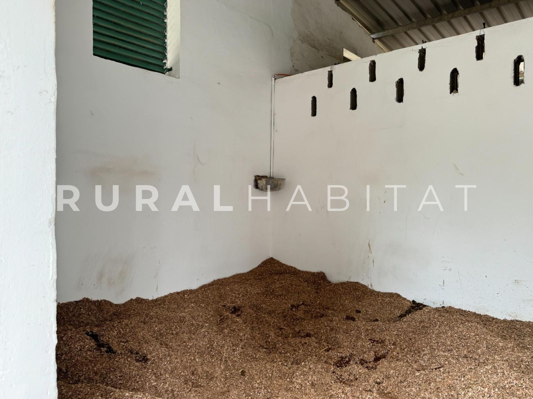 16 Finca ecuestre Naquera, Valencia - Box interior caballos