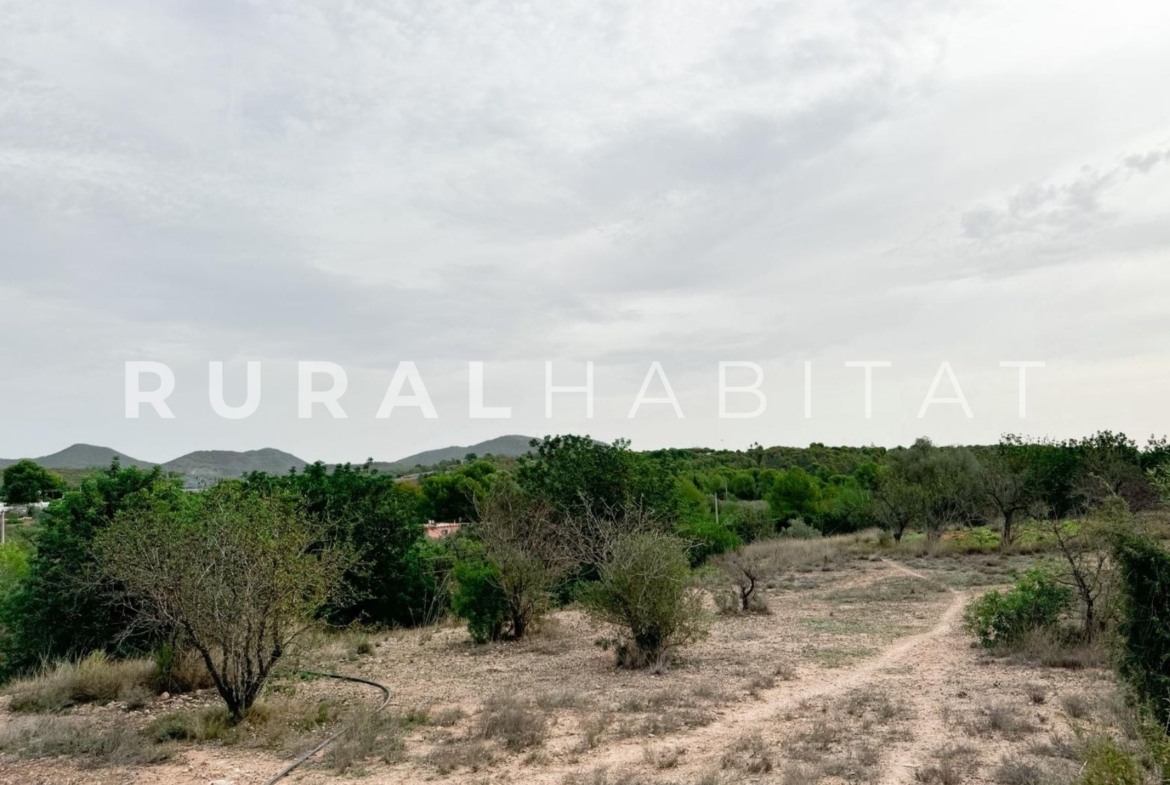 Finca ecuestre Naquera, Valencia - PArcela