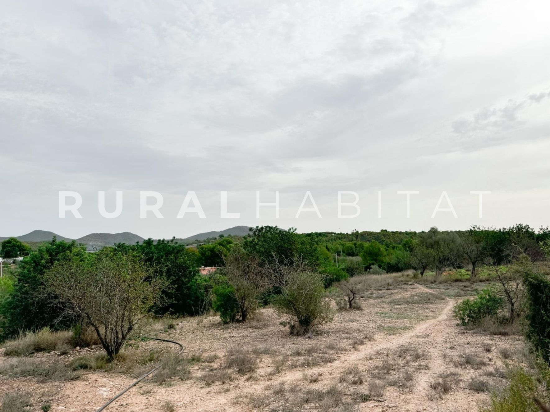 17 Finca ecuestre Naquera, Valencia - PArcela