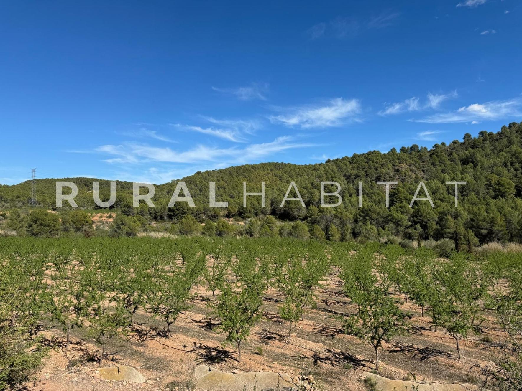 18 Finca rustica en venta Valencia - Almendros cultivo