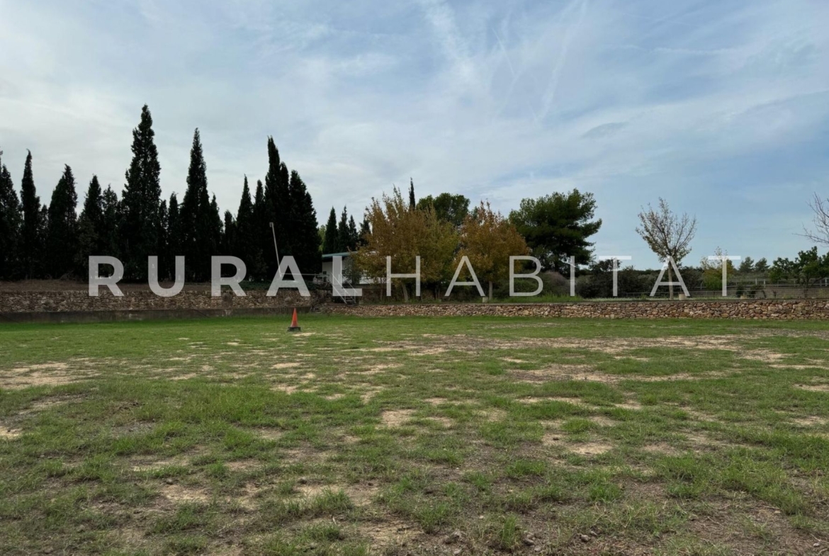Finca ecuestre Naquera, Valencia - PAddocks 2