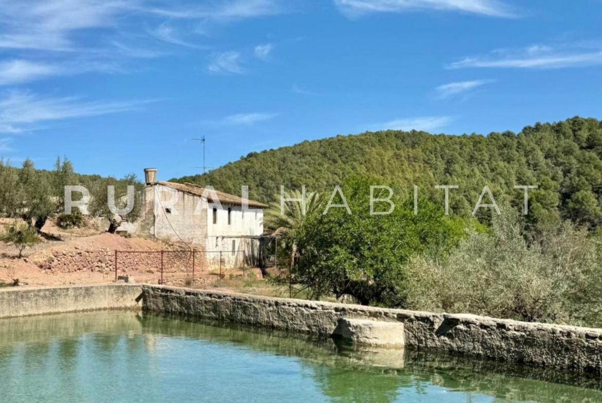 Finca rustica en venta Valencia - Alquería