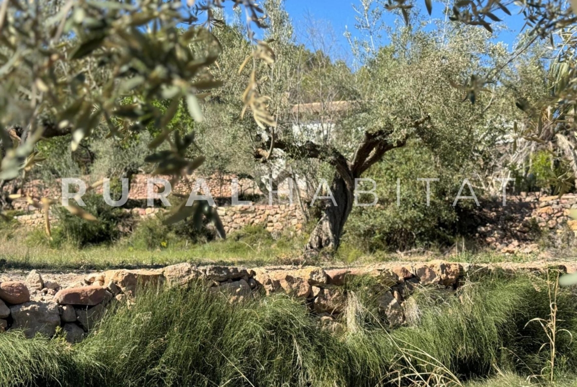 Finca rustica en venta Valencia - Bancales