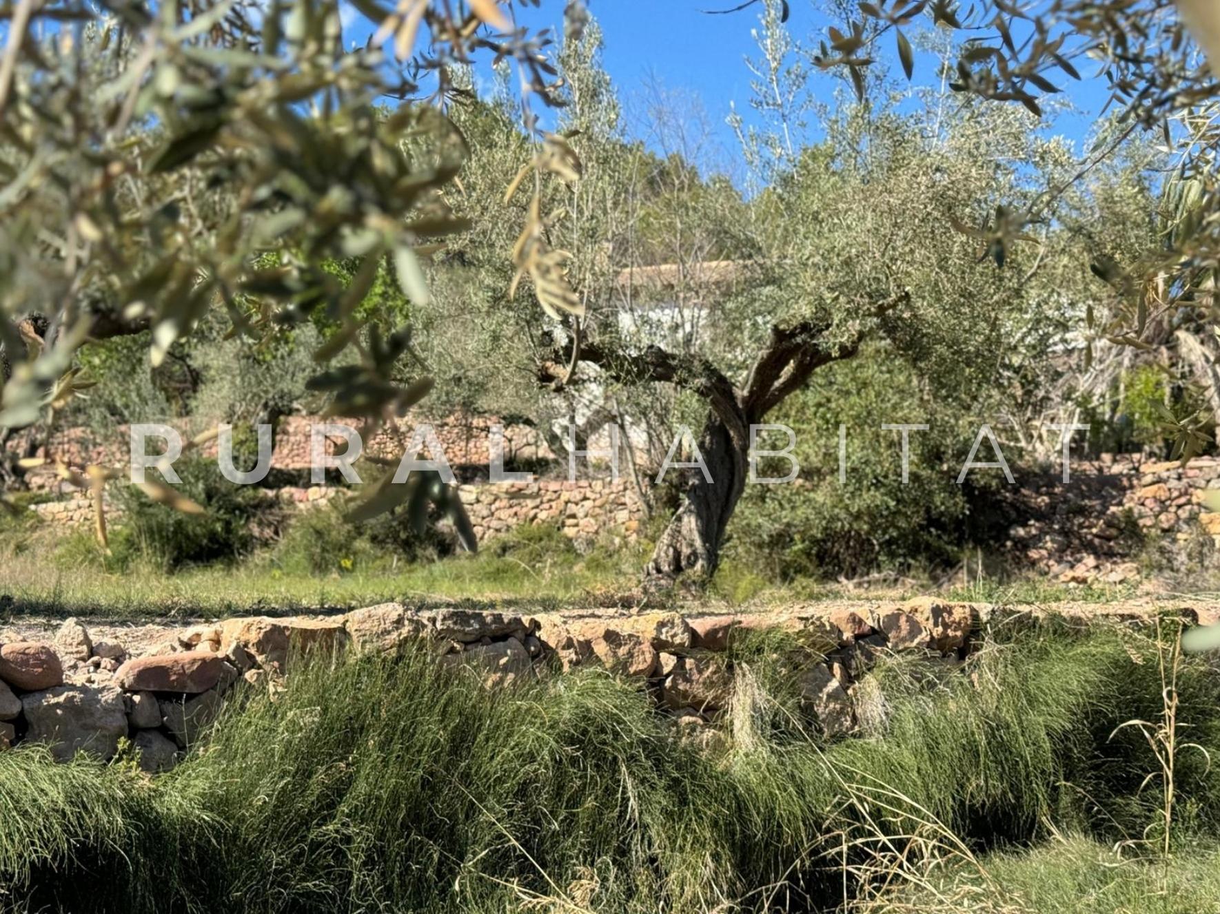 20 Finca rustica en venta Valencia - Bancales