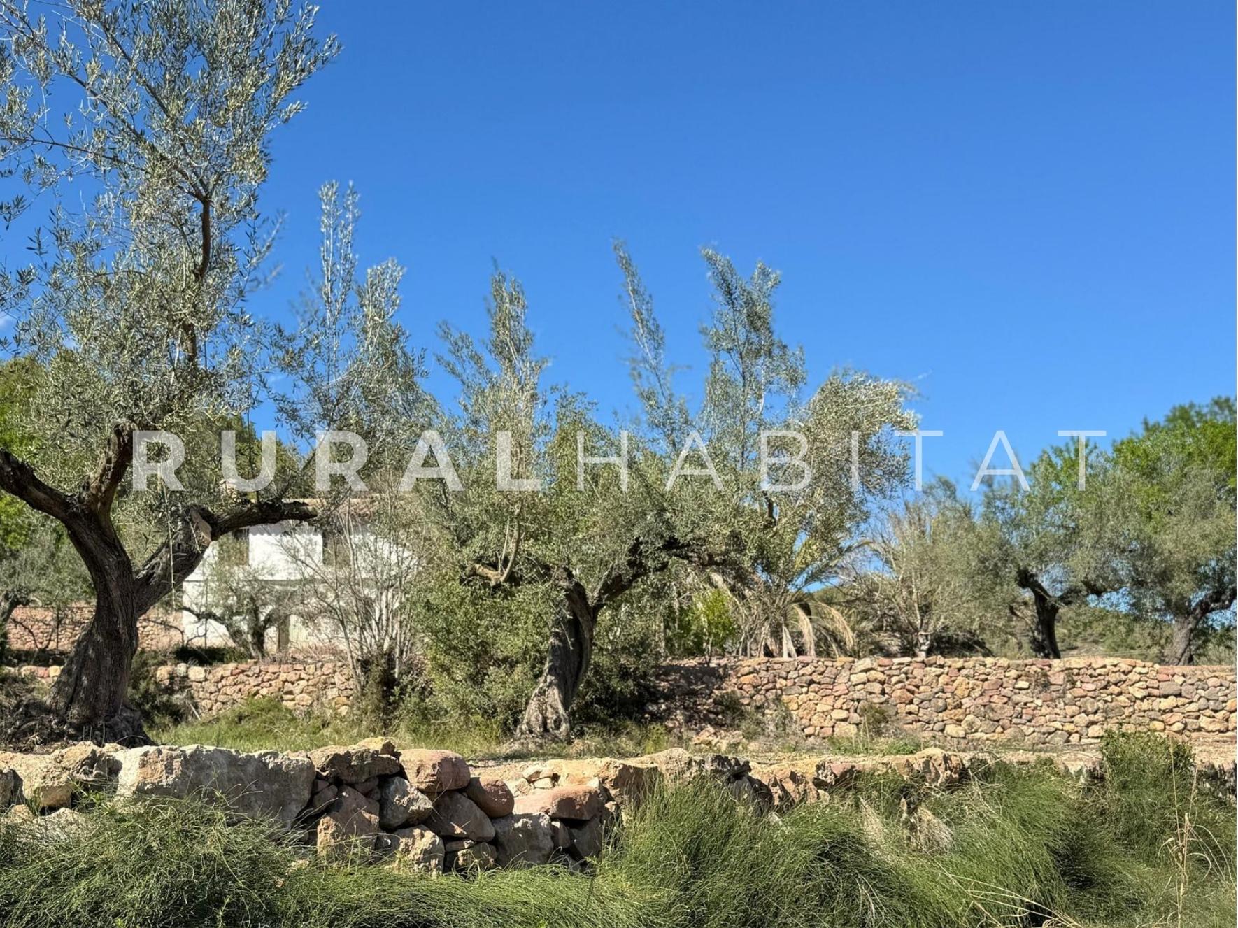 21 Finca rustica en venta Valencia - Olivos/Masía