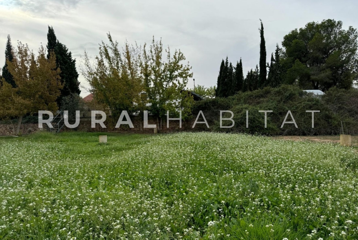 Finca ecuestre Naquera, Valencia - Pasto caballos