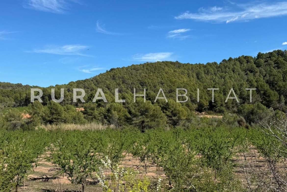Finca rustica en venta Valencia - Almendros