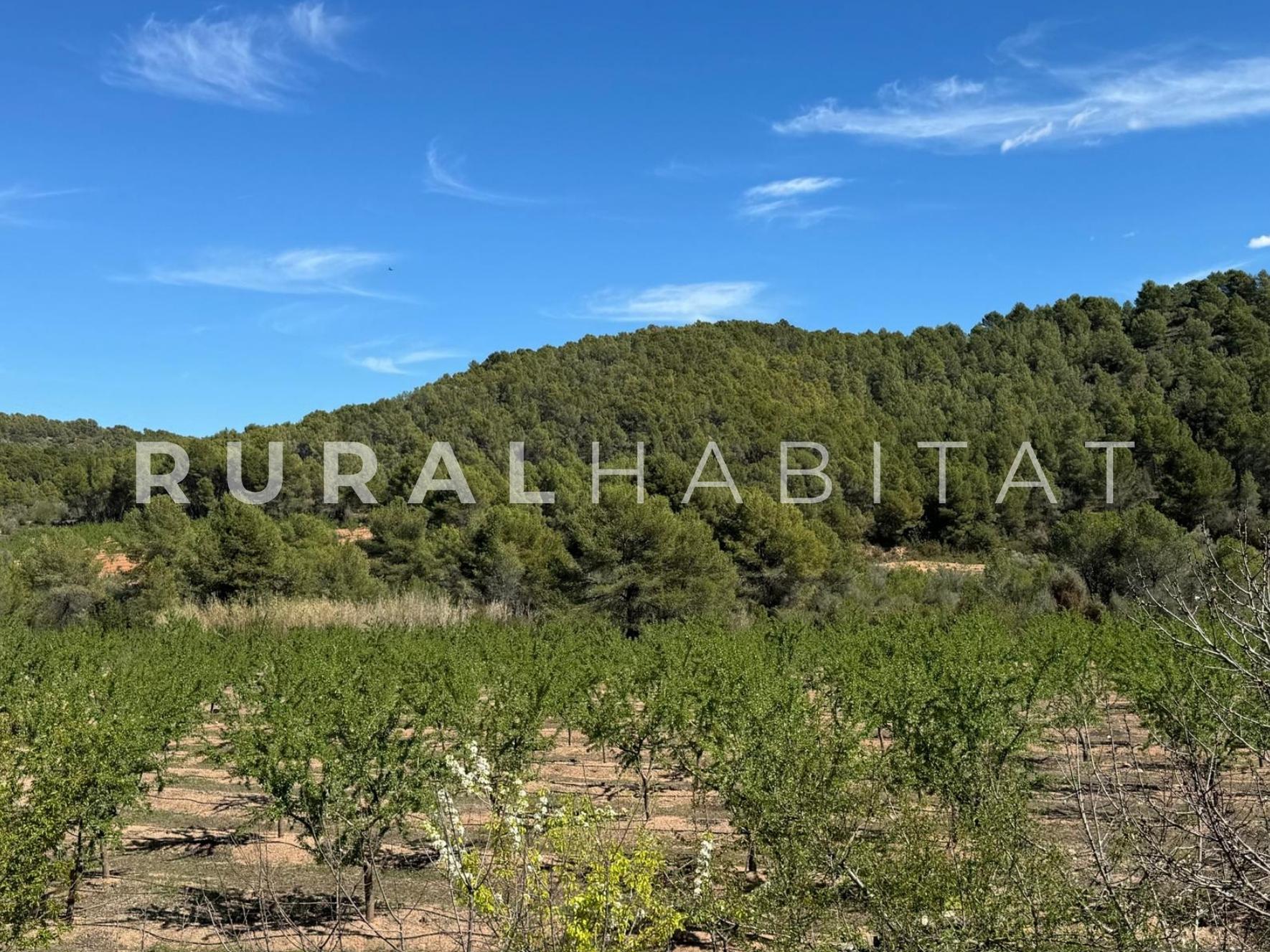 23 Finca rustica en venta Valencia - Almendros