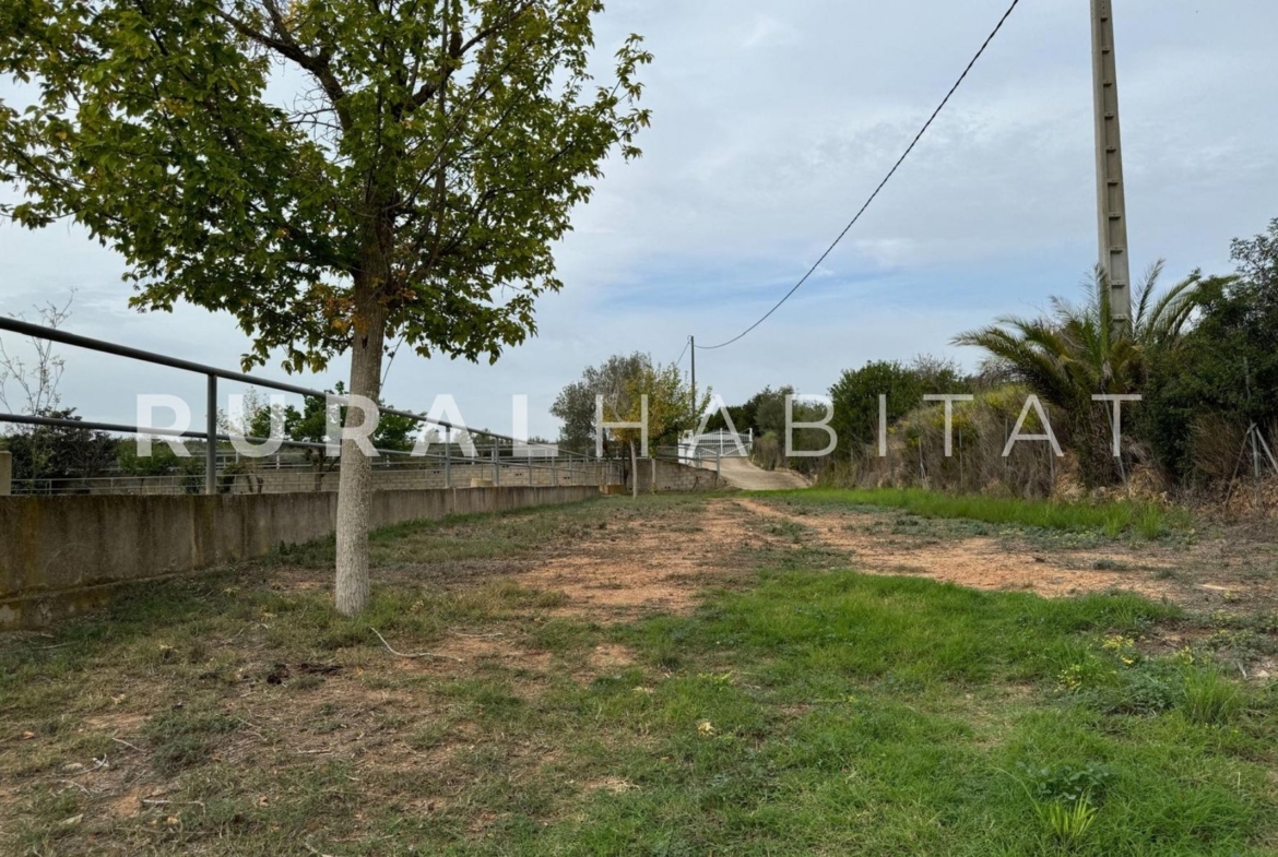 Finca ecuestre en Náquera en venta, Valencia