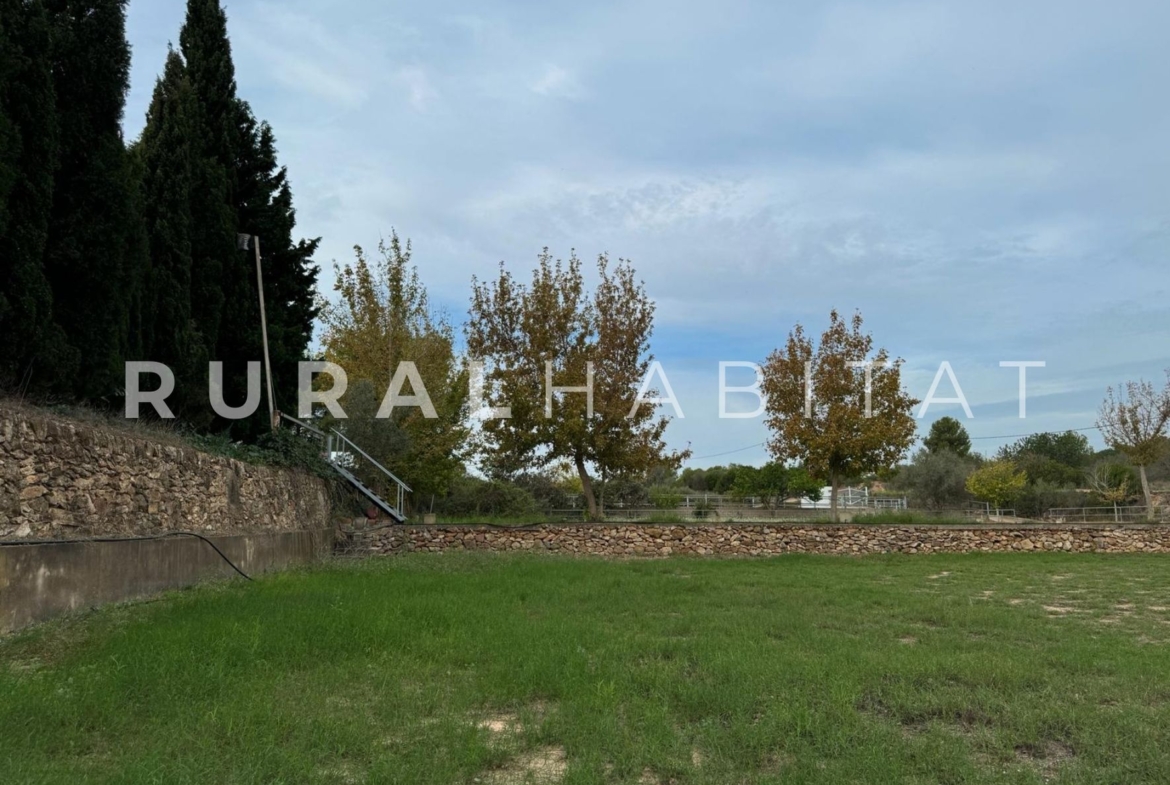 Finca ecuestre Naquera, Valencia - Paddocks caballos 3