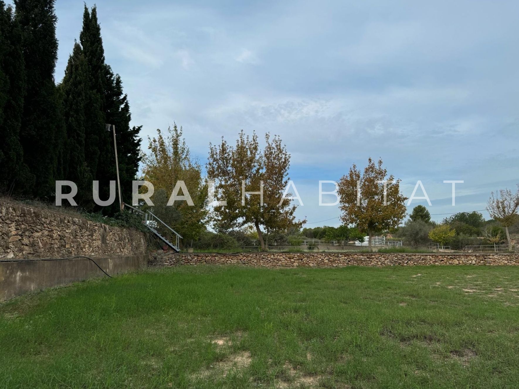 26 Finca ecuestre Naquera, Valencia - Paddocks caballos 3