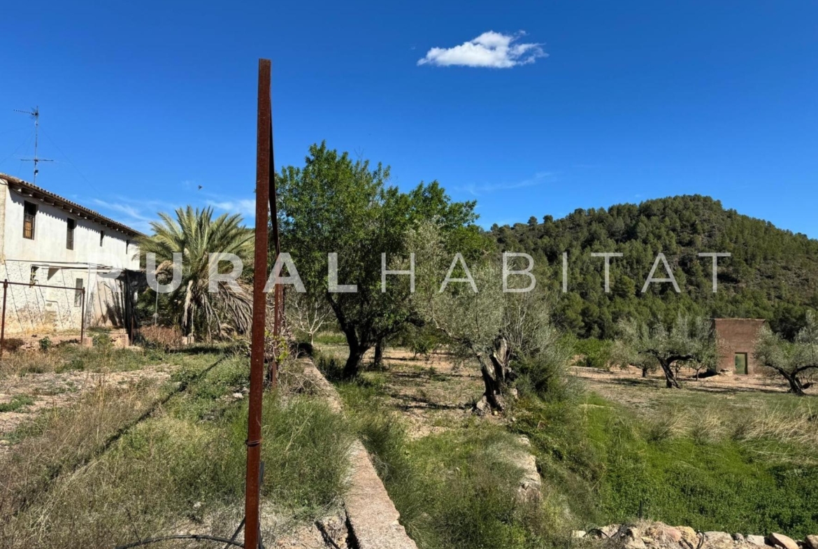 Finca rustica en venta Valencia - Masía/Alquería