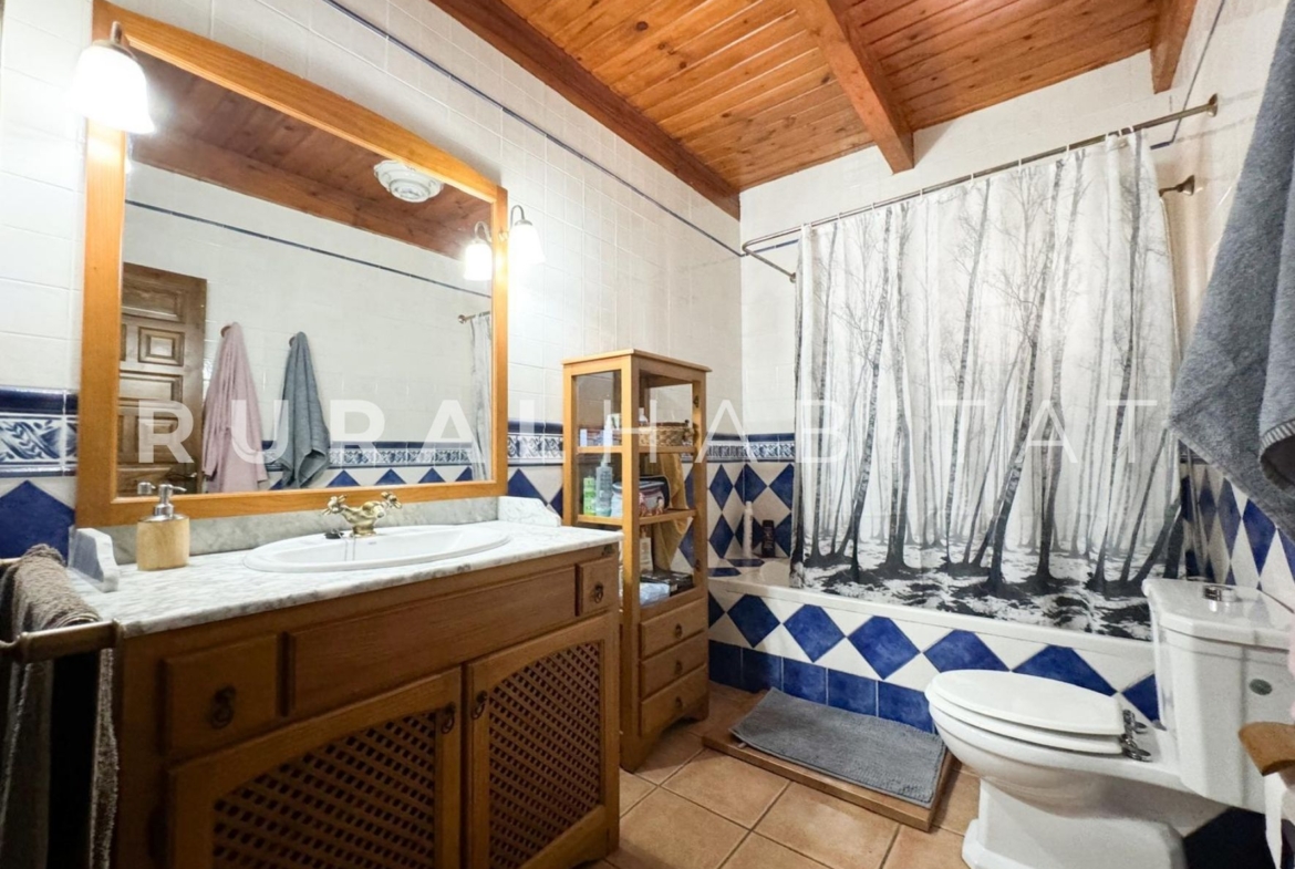 Finca ecuestre Naquera, Valencia - Baño