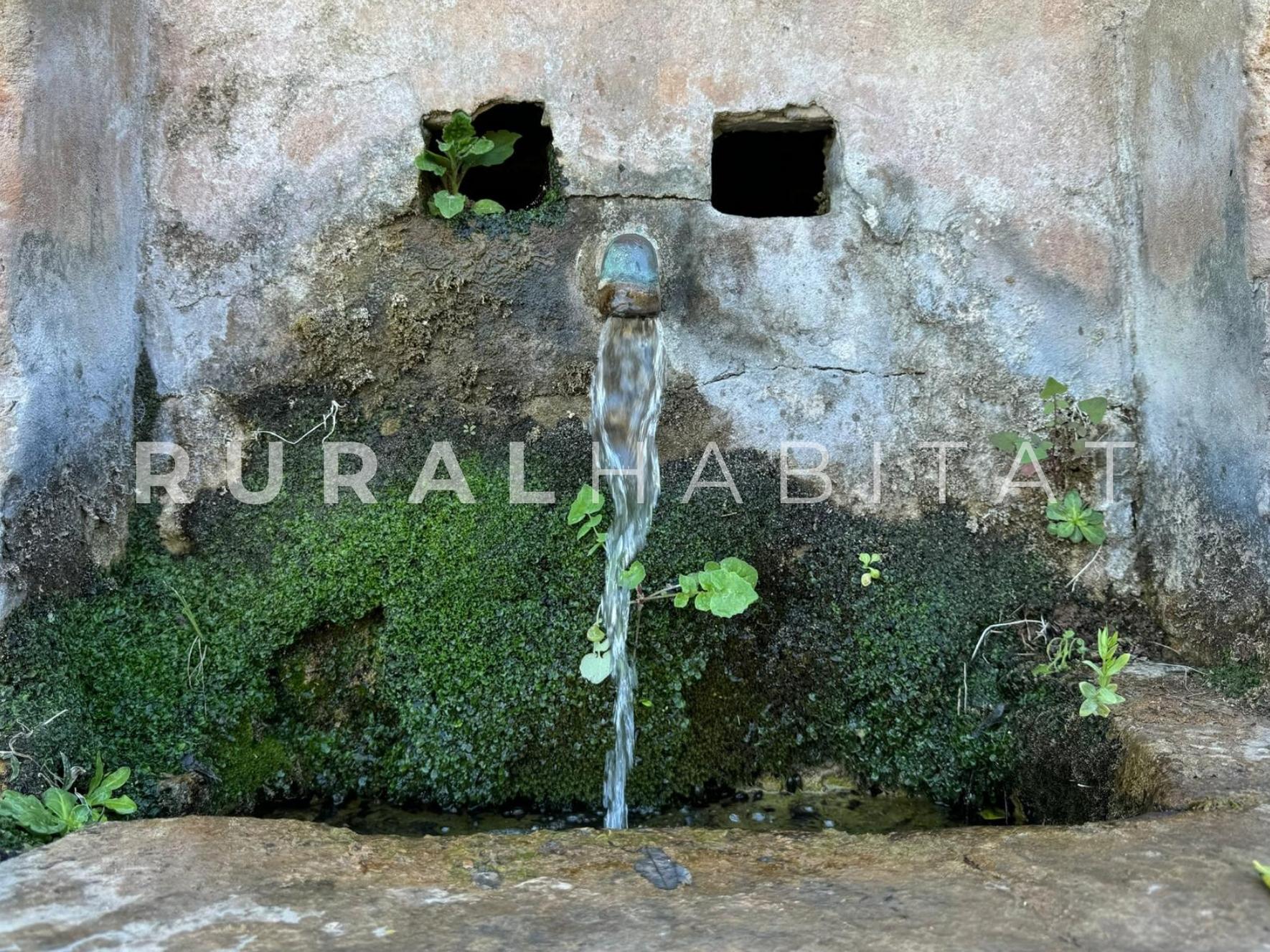 8 Finca rustica en venta Valencia - Fuente