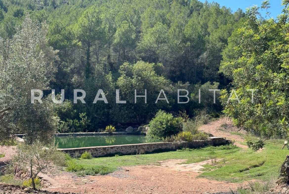 Finca rustica en venta Valencia - Balsa