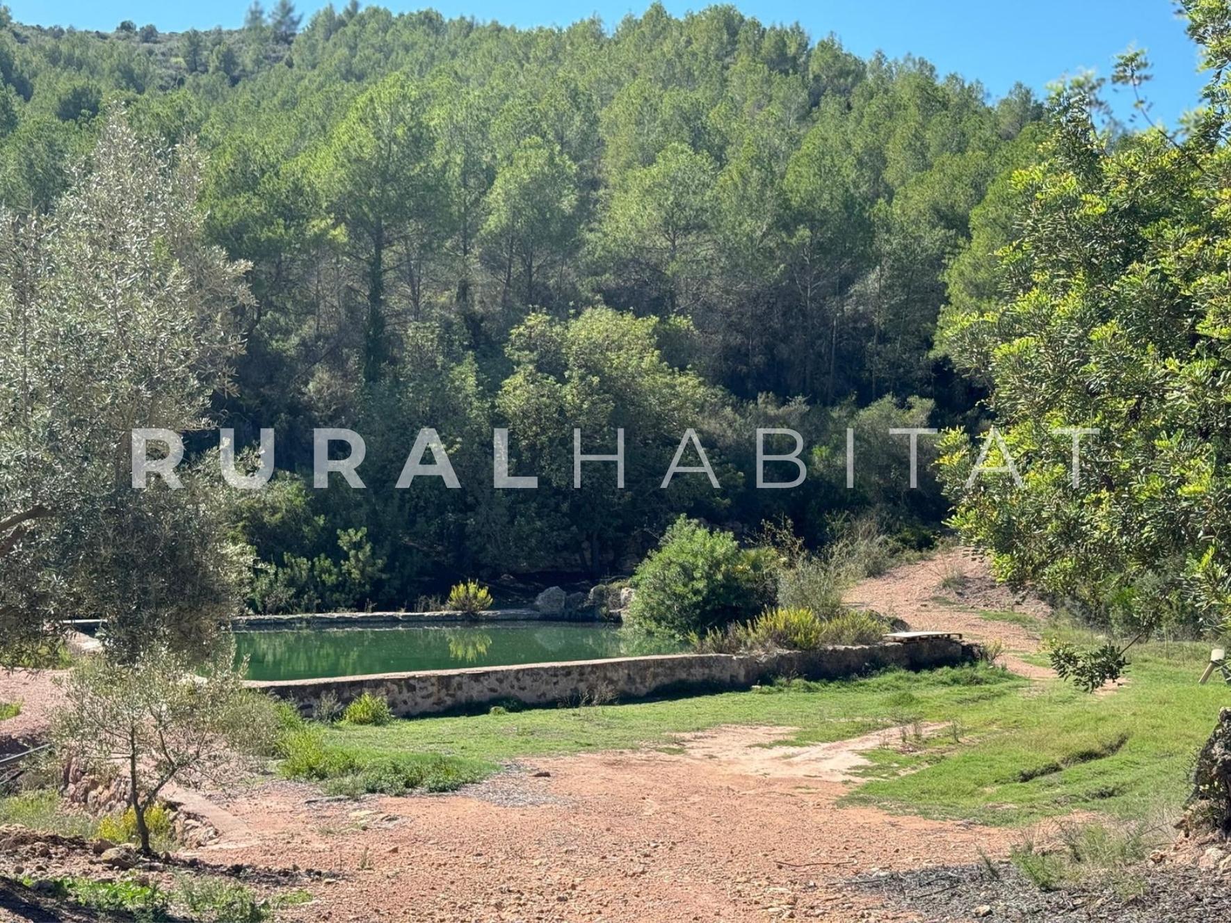 9 Finca rustica en venta Valencia - Balsa