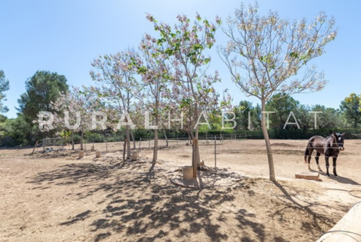 Centro ecuestre cerca de Valencia