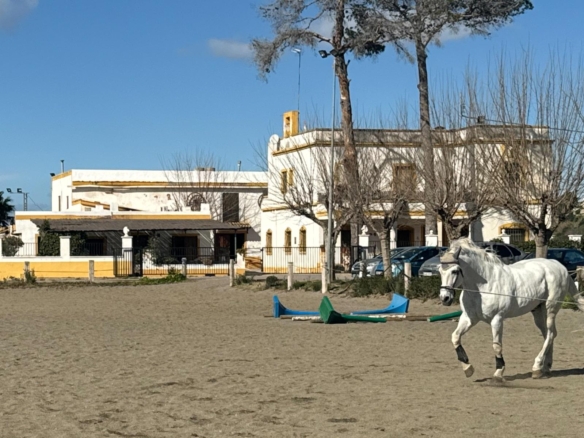 Propiedad ecuestre en Valencia
