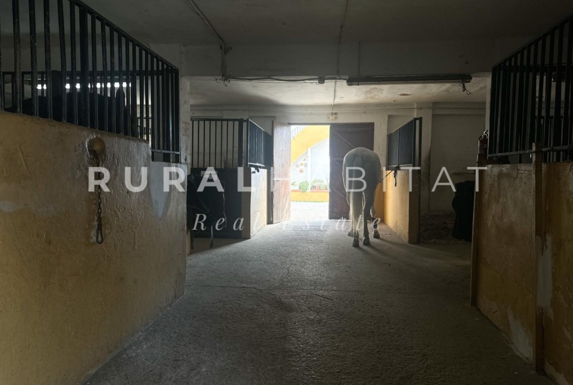 Propiedad ecuestre en Valencia
