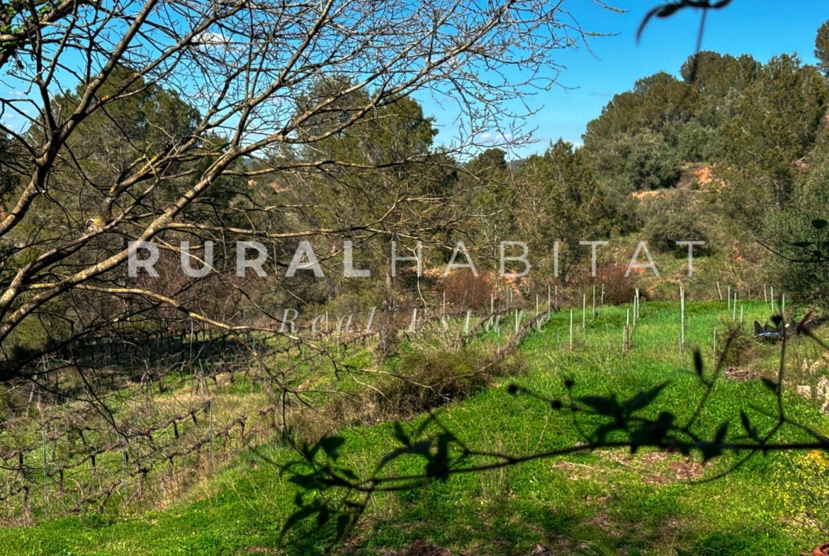 Charming Rustic Estate for Sale Near Valencia