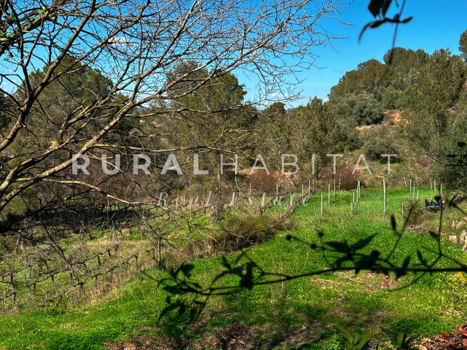 RH35. Viñedo Charming Rustic Estate for Sale Near Valencia