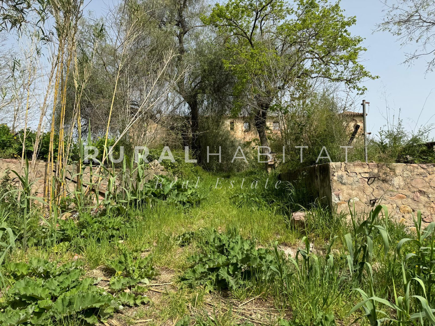 WhatsApp Image 2026-04-20 at 14.03.47 (3)_resultado Molino en venta Rio Palancia