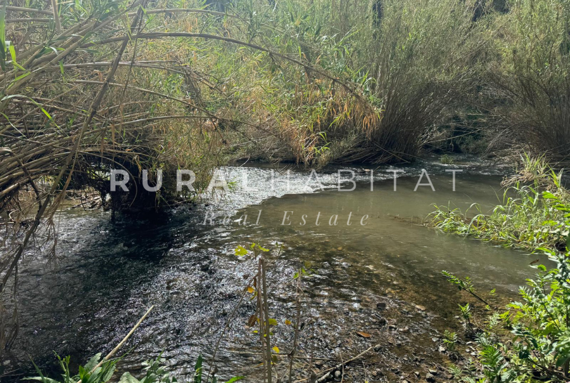 Molino en venta Rio Palancia