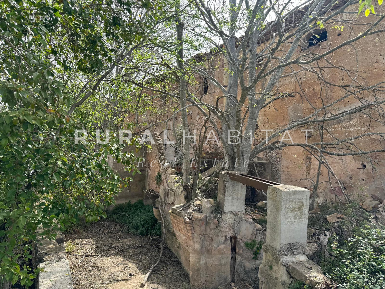 WhatsApp Image 2026-04-20 at 14.03.48 (1)_resultado Molino en venta Rio Palancia