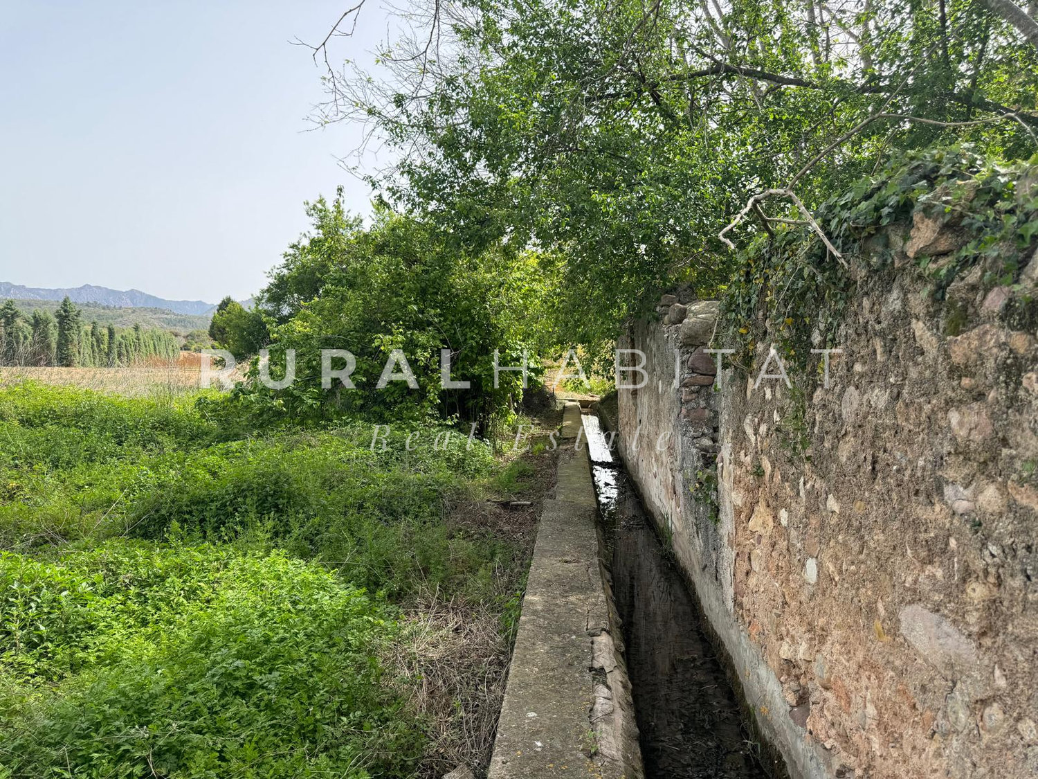 WhatsApp Image 2026-04-20 at 14.03.48 (2)_resultado Molino en venta Rio Palancia