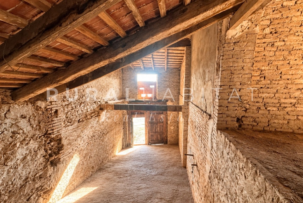 Finca rústica en l´Horta Nord en venta, Valencia
